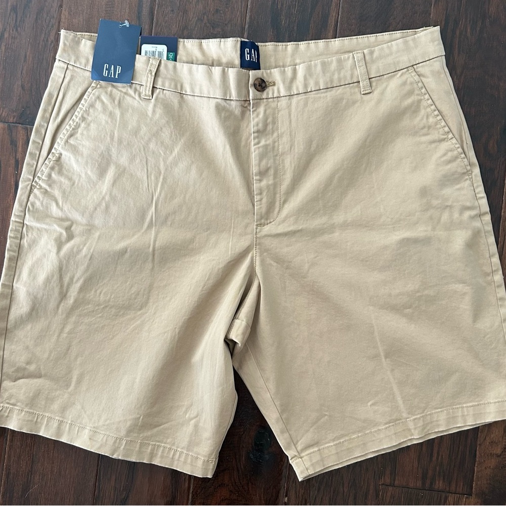 GAP Men's Beige Flat Front Shorts